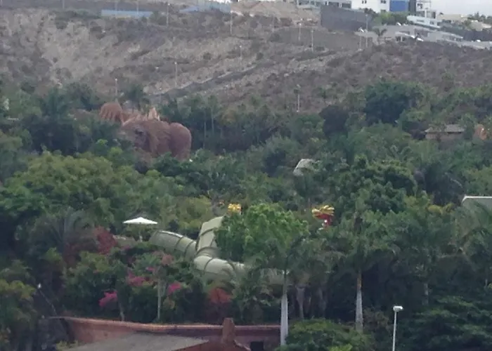 Ponderosa Ocean View